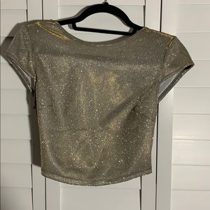 Sparkly Glitter Crop Top